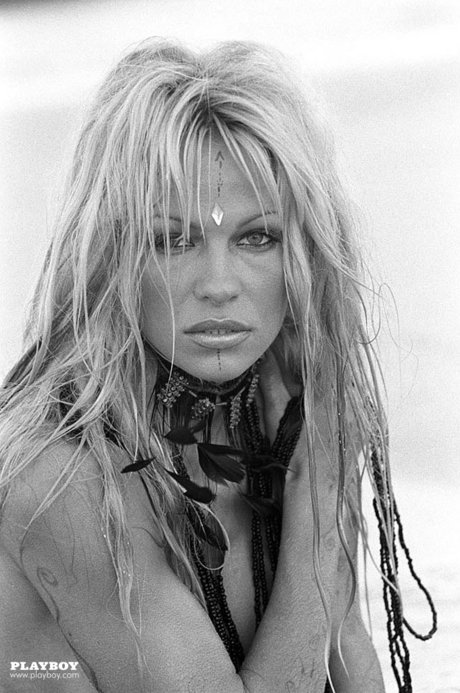 Pamela Anderson wysoka jakość modelu archiwum