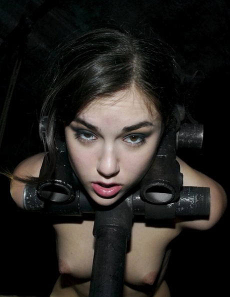 Sasha Grey gwiazda hd zdjęcie